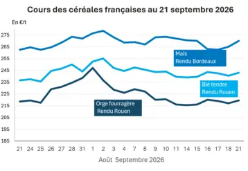 Graphique prix blé orge maïs France au 21 septembre 2026 