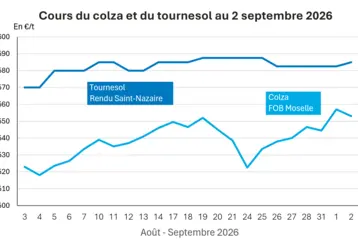 Graphique prix colza tournesol France au 2 septembre 2026 