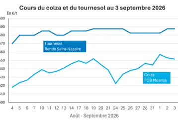 Graphique prix colza tournesol France au 3 septembre 2026