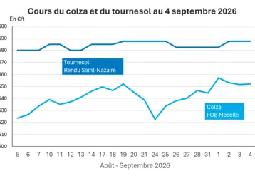 Graphique prix colza tournesol France au 4 septembre 2026 