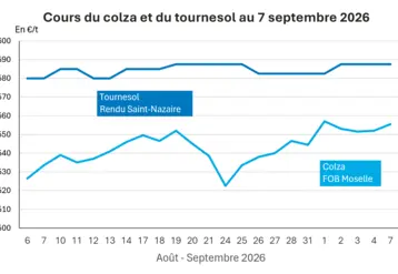 Graphique prix colza tournesol France au 7 septembre 2026 