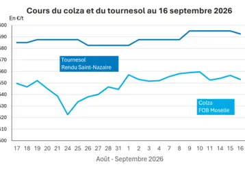 Graphique prix colza tournesol France au 16 septembre 2026 