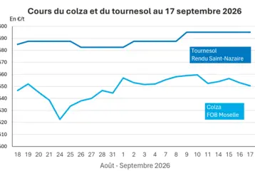 Graphique prix colza tournesol France au 17 septembre 2026 