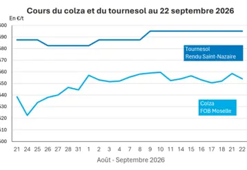 Graphique prix colza tournesol France au 22 septembre 2026