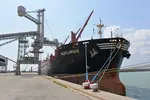Collecteurs et utilisateurs sont deux maillons de la chaîne qui ne se connaissent pas, en raison de l’existence d’intermédiaires, les exportateurs en l'occurence.