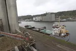 navire à quai devant des silos de grains de Sénalia sur le port de Rouen.