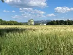 parcelle de blé dur dans les Bouches du Rhône