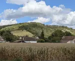 Champ de maïs, Vexin, septembre 2025
