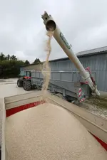 <em class="placeholder">Epandage d'engrais azoté en granule sur une parcelle de blé.</em>
