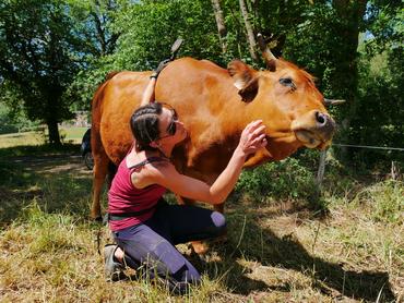 Les bovins aiment un contact franc, sans tâtonnement ni effleurement.