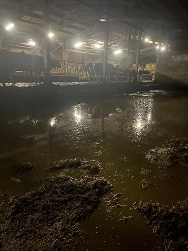 stabulation sur aire paillée ayant subi une inondation