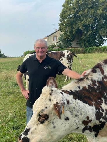 un éleveur avec ses vaches normandes