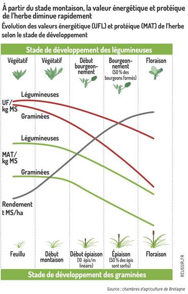 graphique valeur alimentaire de l'herbe selon les stades de développement des légumineuses et graminées