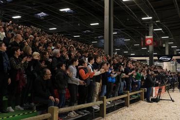 gradin du concours Montbéliard