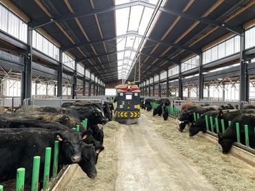 Table d'alimentation et robot d'alimentation à la ferme du trèfle