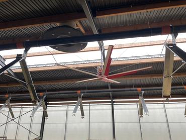 Brasseurs d'air couplés au pad cooling, installés à al ferme du trèfle.