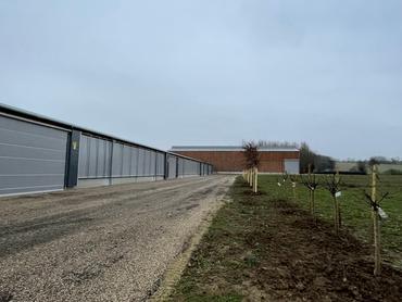 Haie plantée pour faire de l'ombre le long des bâtiments d'élevage