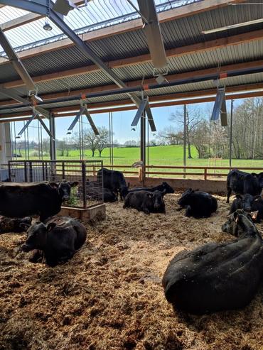 Intérieur du bâtiment de la ferme du trèfle. Vue sur une des cases.