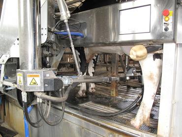robot Delaval en service avril 2013