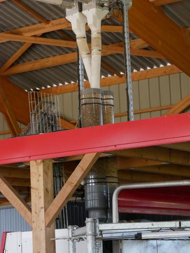 Distribution de concentré au robot pour les vaches laitières.