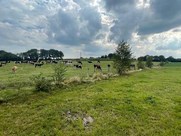 <em class="placeholder">haie plantée entre deux paddocks</em>