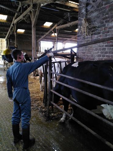 vétérinaire vaccination FCO 3