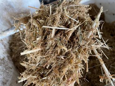 <em class="placeholder">Ration pour vaches taries</em>