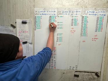 <em class="placeholder">tableau de repro en élevage laitier</em>