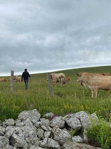 <em class="placeholder">Un éleveur dans une prairie avec ses vaches de race Aubrac</em>