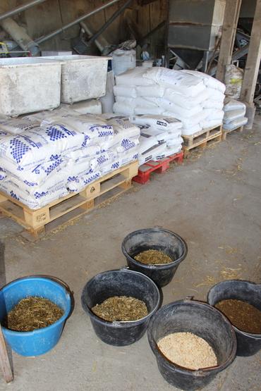 <em class="placeholder">seaux avec aliments pour vaches laitières</em>
