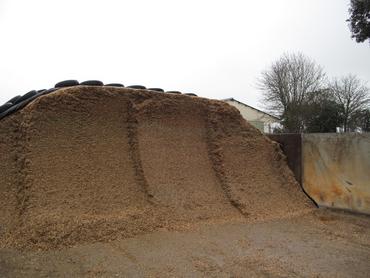 <em class="placeholder">silo, maïs ensilage, tas, front attaque</em>