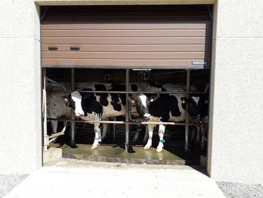 <em class="placeholder">Ventilation permise par une porte de garage en traite rotative.</em>