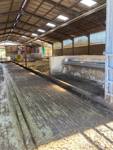 <em class="placeholder">abreuvoir en élevage laitier</em>