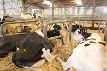 <em class="placeholder">L&#039;audit a révélé un problème de réglage des logettes.</em>