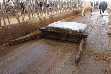 <em class="placeholder">robot racleur </em>