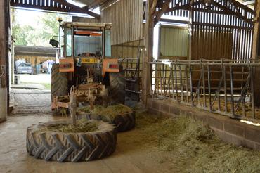 <em class="placeholder">repousse-fourrage maison</em>