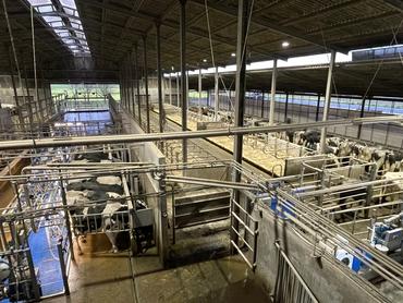 <em class="placeholder">bâtiment laitier</em>