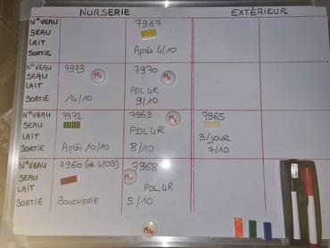 <em class="placeholder">Sur un tableau, toutes les informations pour chaque veau sont centralisées. Un code couleur permet d’associer toujours le même seau à chaque veau.</em>