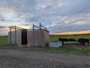 <em class="placeholder">Des cabanes ont été installées pour les veaux croisés. Les deux parties se font face pour limiter l’entrée de la pluie et du vent et chacune d’entre elle est ...</em>