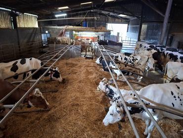 <em class="placeholder">implantation d'un robot de traite en élevage laitier</em>