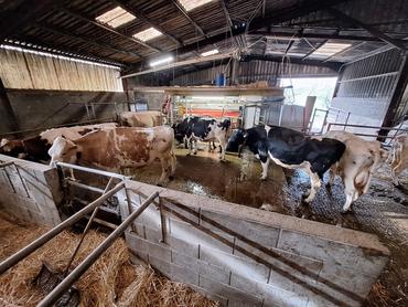 <em class="placeholder">implantation d'un robot de traite en élevage laitier</em>