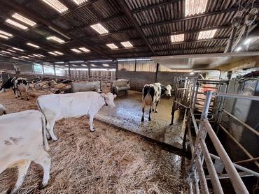 <em class="placeholder">implantation d'un robot de traite en élevage laitier</em>