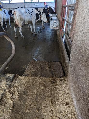 <em class="placeholder">Samuel Peultier a mis en place une rampe en alu pour faciliter l'accès au couloir de la balayeuse à logettes</em>
