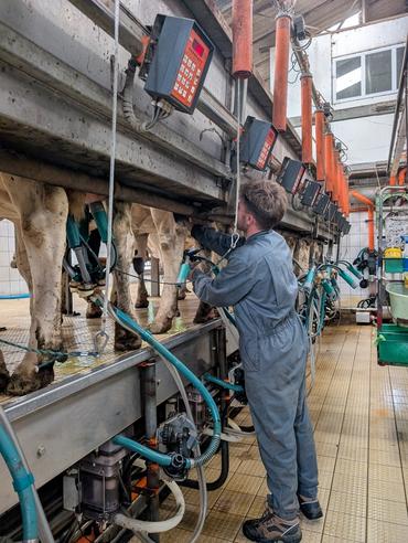 <em class="placeholder">salarié à la traite, à la ferme expérimentale de Trévarez dans le Finistère </em>