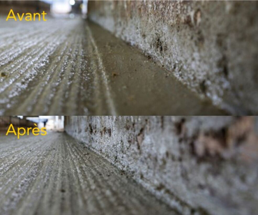 <em class="placeholder">Exemple d'un sol avant et après la scarification Scari'Bou.</em>