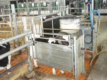 <em class="placeholder">quai autonettoyant avec caillebotis dans une nurserie avec DAL</em>