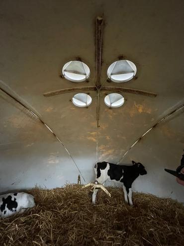 <em class="placeholder">Les trappes situées en ouverture haute assurent une bonne ventilation, comme en témoigne la mesure du taux de CO2 (350 ppm). Cet hiver, quand la température extérieure ...</em>