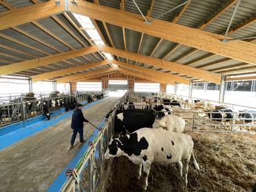 <em class="placeholder">bâtiment pour génisses et vaches taries</em>