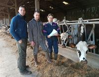 Romain Boudet, éleveur dans la Manche