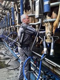 <em class="placeholder">Thierry Marrec, éleveur dans le Finistère - trayeur portant un exosquelette pendant la traite pour soulager les épaules</em>
